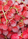 [DIG IMAGE] Icy red berries